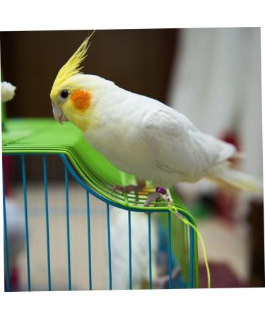 Angoily 3 pcs 15 Leash Trainning Color for Flying Activities Random Elastic Harness Parrot Meters Size 5x3pcs As Shownx3pcs - Buy Online on GoSupps.com