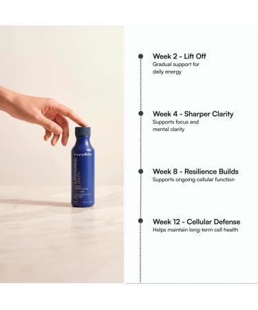 Everlife Liposomal NAD+ Liquid Supplement 150mg Shot with Liposomal Trans-Resveratrol TMG & Glycine Boosts Energy Cellular Repair Healthy Aging & Longevity NMNH Alternative 30 Servings - Buy Online on GoSupps.com