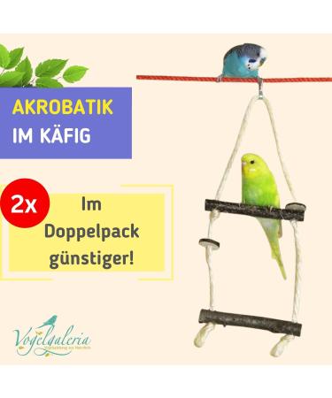 2X Double Swing Bird Swing for Budgies | Natural Wood Bird Perch | Shop Internationally - Buy Online on GoSupps.com