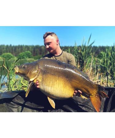 Tandem Baits Superfeed Fluo Mini Dumbells 3-Er Set | Floating Carp Pop Ups for Effortless Fishing | 30g Flavor Mix | Professional Anglers & Hobbyists - Buy Online on GoSupps.com