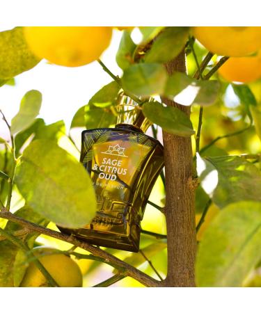 Sage & Citrus Perfume Oud Arabian Men's Cologne - Fresh & Woody Citrus Cologne for Men - Sage Oud & Patchouli Perfume for Men - Eau de Parfum for Men - Blended with Rare Exotic Notes - Buy Online on GoSupps.com
