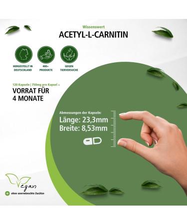 Fairvital Acetyl-L-Carnitine 750mg - High Dose Vegan Supplement | 120 Capsules for Enhanced Energy & Focus - Buy Online on GoSupps.com