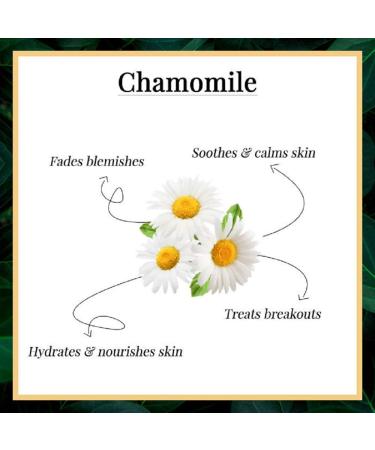 Good Vibes Soothing Cleansing Oil Chamomile (30 Ml) - Buy Online on GoSupps.com