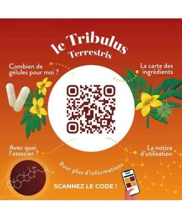 NUTRI & CO Tribulus Terrestris - 90% Saponins - 100% Natural Concentrated Extract 10:1 - Endurance Energy Muscle Growth & Heart Health - 120 Vegan Capsules - Made in France - Buy Online on GoSupps.com