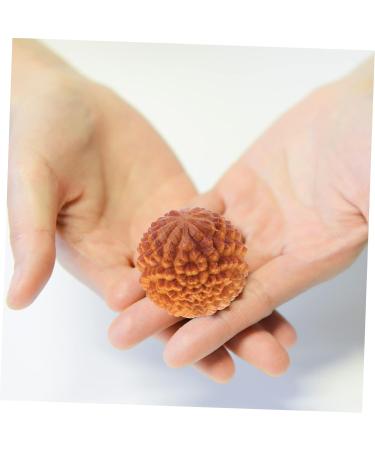 Partykindom 2-Pack Massage Balls - Acupoint & Yoga Fitness Tools for Trigger Point Relief | Wooden Muscle Stretch Devices - Buy Online on GoSupps.com