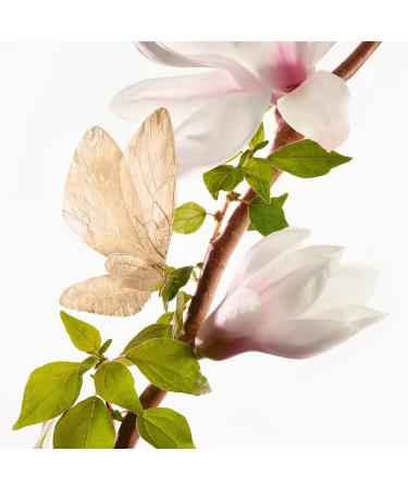 Annick Goutal Un Matin d'Orage for Women Eau de Toilette Spray 3.4 Ounce - Buy Online on GoSupps.com