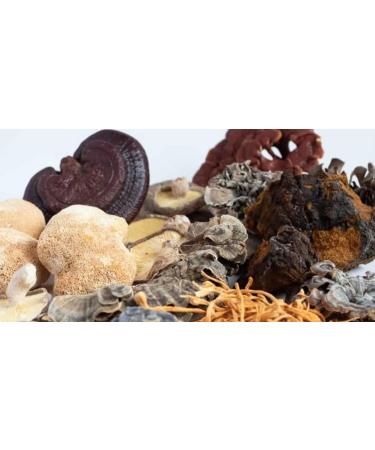 Organic Irish Sea Moss Capsules - 60 Vegan Capsules | GMO Free | Gordon Watkins Botanical Blend - Buy Online on GoSupps.com