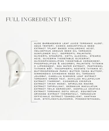 Good Morning Face Cream - Hydrating & Nourishing Moisturizer | Refill 1.7 oz | International Shipping Available - Buy Online on GoSupps.com