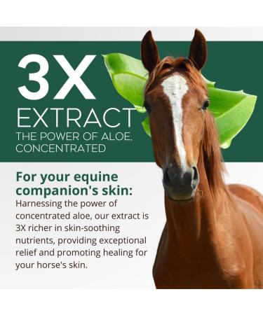 Nature's Aid Soothing Equine - Horse Coat Gel. Fast-Absorbing Natural Formula Antibacterial Antifungal Skin-Soothing and 3X More Skin-Nourishing Compounds (500ml). - Buy Online on GoSupps.com