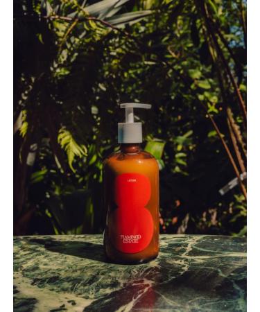 Flamingo Estate Roma Heirloom Tomato Lotion Herbaceous Scent with Tarragon and Black Pepper 16 oz - Buy Online on GoSupps.com