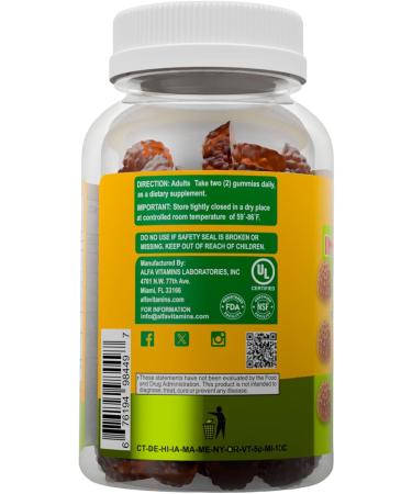 ALFA VITAMINS Immune Support Gummies with Vitamin C Plus Zinc & Echinacea - Daily Immune Support Booster for Adults - Orange Flavor - 60 Gummies - Buy Online on GoSupps.com