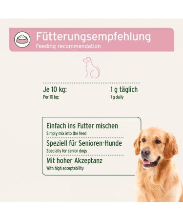 AniForte Senior Active - Minerals and vitamins for Senior Dogs supports memory and heart function (250g) - Buy Online on GoSupps.com