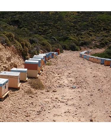 The Greek Kitchen Orange Blossom Honey Unheated & Unpasteurised 250 g - Buy Online on GoSupps.com