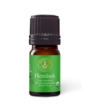 Aromatics International Premium Organic Hemlock Essential Oil 5ml | 100% Pure Essential Oil for Diffusion & Aromatherapy Hemlock 0.17 Fl Oz (Pack of 1)