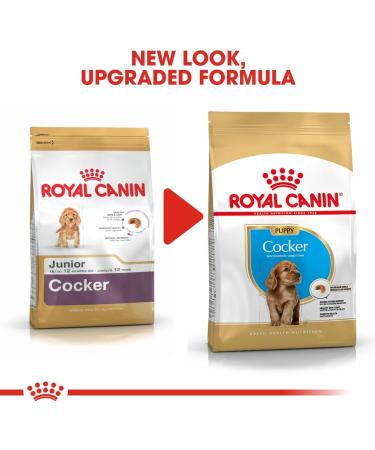 Royal Canin Dog Food Cocker Puppy Complete 3KG - Buy Online on GoSupps.com