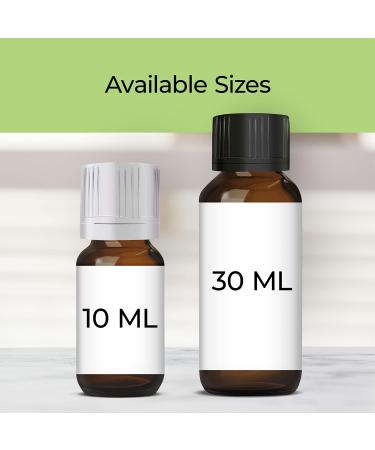 Good Essential Coconut Fragrance Oil 10ml - 0.33 Fl Oz (Pack of 1) - Buy Online on GoSupps.com