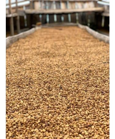 West End Coffee Roasters Colombia Honey Tablon De Gomez Top Grade Single Origin Medium Roast Whole Bean (12oz/340.2g x 3) Colombia Honey Tablon De Gomez - med roast 113.33 g (Pack of 3) - Buy Online on GoSupps.com
