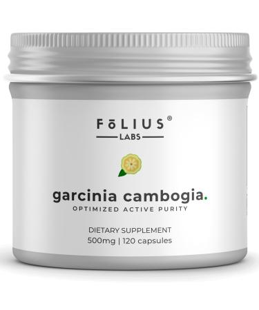Pure Garcinia Cambogia Extract Supplement 500mg - 100% Natural HCA Extract Concentrated to 60% - Supports Healthy Digestion and Metabolism - 120 Capsules