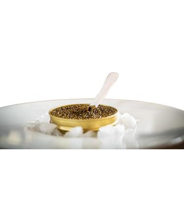 Oscietra/Asetra Caviar 250 gr - Buy Online on GoSupps.com