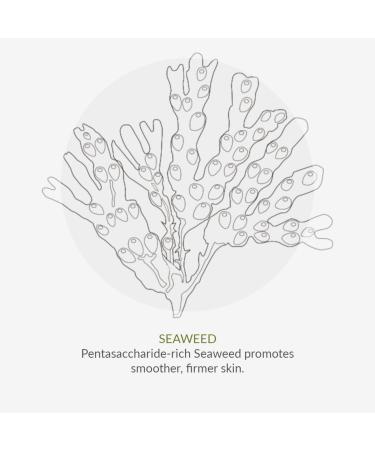 Green People For Men - No. 7 Antioxidant Repair Serum 50ml GP-M007 clear - Buy Online on GoSupps.com