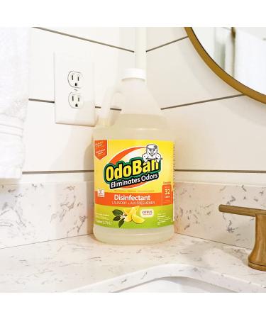 OdoBan Ready-to-Use Disinfectant & Odor Eliminator Set - Citrus Scent - 32oz Spray + 1 Gallon Concentrate - Buy Online on GoSupps.com