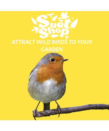 Suet Shop Supreme Suet Fat Balls 80g x 30 - High Energy & Protein for Wild Birds - Buy Online on GoSupps.com