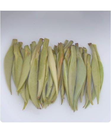 65g Argent Aiguilles Th Blanc Bio Th En Vrac chantillon Pack Cadeau Th Vert Nourriture - Buy Online on GoSupps.com