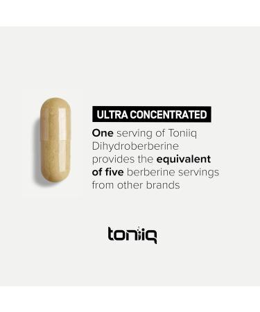 Dihydroberberine Supplement - Ultra High Potency 1,000mg Formula with GlucoVantage 10:1 Ceylon Cinnamon & 50:1 Milk Thistle - Third-Party Lab Tested 60 Count (Pack of 1) - Buy Online on GoSupps.com