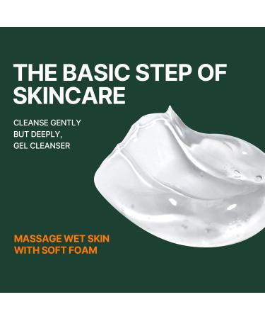 MEDITHERAPY A Clearing Gel Cleanser | Pore Tightening Vegan Face Wash | Korean Skincare Alcohol-Free Heartleaf | 5.07 fl. oz - International Shipping Available - Buy Online on GoSupps.com