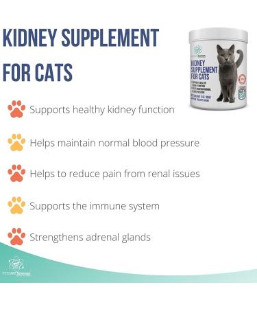 PET CARE Sciences Approx 90 Servings Cat Kidney Support Chews Feline Kidney Restore Renal Cat Treats Cats Kidney Support Supplement Urinary Tract Irritations Control for Cat - 3 Oz - Buy Online on GoSupps.com