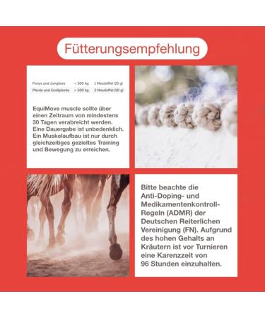 Equimove Bundle for Horses | Muscle Joint & Tendon Support | 1.5 kg Supplementary Feed - Buy Online on GoSupps.com