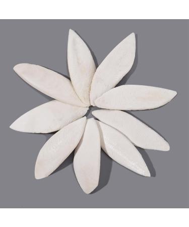 50 Pcs Bird Cuttlebone Toys 5-7cm Cuttlefish Bone Bird Cuttlebone Toys Natural Chewing Cuttlefish Bones Parrot Chew Calcium Toy for Pet Parakeets Budgies Tortoises - Buy Online on GoSupps.com
