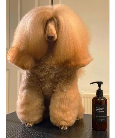 iGroom Pro-Keratin Leave-in Dog Conditioner | Luxury Pet Beauty Care & Detangling - Made in USA 16 oz - Buy Online on GoSupps.com