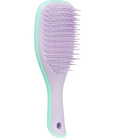 Tangle Teezer Mini Detangler Hairbrush - Gentle on Wet Hair, Two-Tiered Teeth, Ideal for Kids & Travel - Reduces Knots & Breakage | Wisteria Leaf - Buy Online on GoSupps.com
