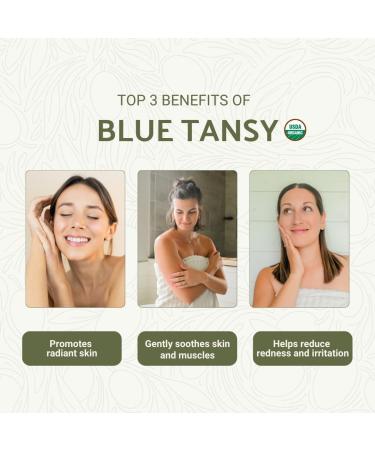 Organic Blue Tansy Essential Oil Direct from Malagassi Essential Oils - Ideal in Face Oil - Organic Blue Tansy for Candle Making and Soap Making (5 mL) Organic Blue Tansy 0.17 Fl Oz (Pack of 1) - Buy Online on GoSupps.com