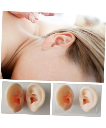Silicone Ear Models Set - Practice Tools for Ear Picking & Cleaning | Auditory Meatus Display - Buy Online on GoSupps.com