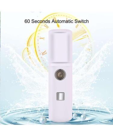 Healeved 1pc Sprayer Hydrating Humidifier Handy Mist Sprayer Face Steamer Mini Small Humidifier Plant White - Buy Online on GoSupps.com