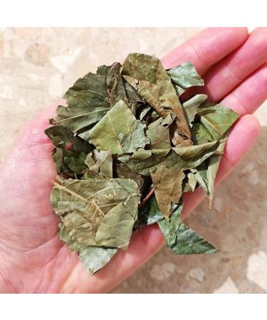 Generic Premium Kinkeliba Leaves 100% Sun Dried Organic Combretum Micranthum 60g - Buy Online on GoSupps.com