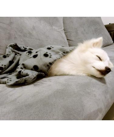 Comsmart Warm Paw Print Blanket/Bed Cover for Dogs and Cats | 6 Pack, 24x28 Inches, Multi-colored - Buy Online on GoSupps.com