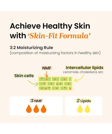 CNP Propolis Ampule Oil-in-Cream - Hydrating Korean Moisturizer with Propolis 5 Oils Ceramide & Hyaluronic Acid for Radiant Skin (50g - Buy Online on GoSupps.com