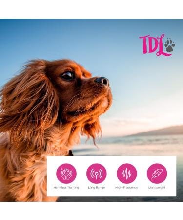 Sky Blue Whistle for Hunting Dogs Long Distance Recall & Training With Lanyard | International Shipping - Buy Online on GoSupps.com