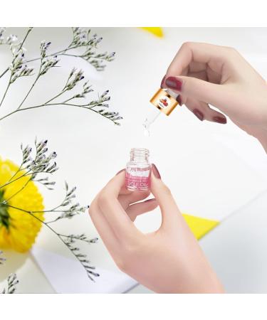 Lot de 6 huiles pour cuticules avec fleurs et vitamine E pour r parer les cuticules pendant la nuit adoucissant les cuticules Cuticle Oil Lot de protecteur pour la peau endommag e - Buy Online on GoSupps.com