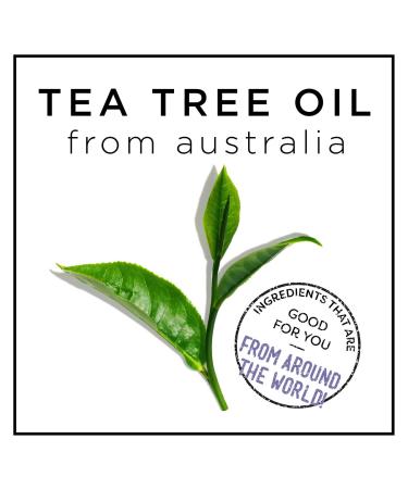 HASK Tea Tree Oil & Rosemary Invigorating Shampoo + Conditioner Set - Color Safe, Gluten-Free, Sulfate-Free - Buy Online on GoSupps.com