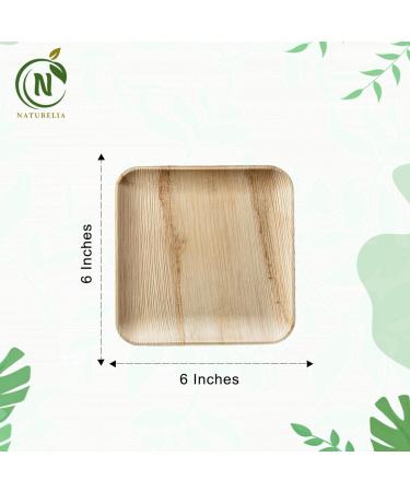 Naturelia 100% Compostable 6-Inch Palm Leaf Disposable Plates Square- Biodegradable Bamboo Plates for Wedding Party & Picnic | Eco Friendly and Natural Appetizer Plates - Microvave Safe - Buy Online on GoSupps.com