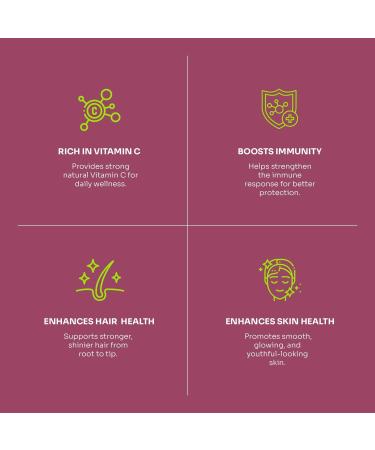 100% Organic Amla Powder, Ayurvedic Blend for Digestive Health, Immune Support, Vegan & Gluten-Free Nutrition, Natural Vitamin C Source for Hair, Skin, & Daily Wellness Vitality - 16oz 16 Ounce (Pack of 1) - Buy Online on GoSupps.com