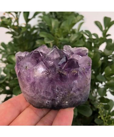Natural Crystal Rough Natural Geode Amethyst Rough Stone Crystal Cluster Quartz Specimen Suitable for Home PEIQIYIN (Size : 200g) - Buy Online on GoSupps.com