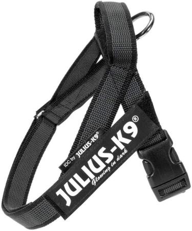 Julius-K9 Belt Harness XS/Mini-Mini in Black-Gray - Perfect for Small Dogs | International Shipping Available - Buy Online on GoSupps.com