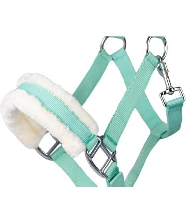 Shop RL24 Halter with Plush Padding - BASICLINE in 6 Colors for Shetland Pony Thoroughbred & Warmblood | Light Green Warmblood Edition - Buy Online on GoSupps.com