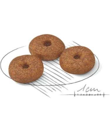 Royal Canin Dog Food Mini Ageing +12 Years Dry Mix 1.5kg Dry Mix 1.5 kg (Pack of 1) - Buy Online on GoSupps.com