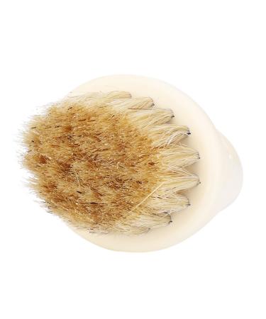 Buy Wild Boar Fur Beard Trim Brush - Softens & Tames Facial Hair | Best Men's Grooming Tool - Buy Online on GoSupps.com